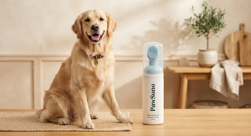 Golden retriever with PawSono bottle